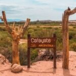 CAFAYATE: Imputado por hurto en un comercio