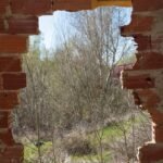 COLONIA SANTA ROSA: Acusado del robo en una vivienda deshabitada