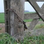 CERRILLOS: Condenado por robo en poblado y en banda tras irrumpir en una finca