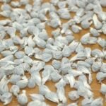 EL QUEBRACHAL: Detenidos e imputados por comercialización de estupefacientes