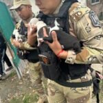 SALTA: Rescatan 10 perros por presunto maltrato animal en Barrio Mosconi