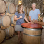 CACHI: Se prepara para la Vendimia, tres días de vino, cultura y tradición en los Valles Calchaquíes