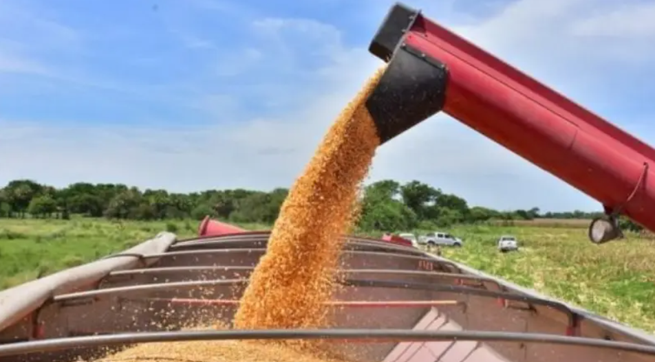 LA GUERRA PEGA EN LA MESA: Suben los costos, acecha la inflación y el fantasma del plato vacío vuelve a escena