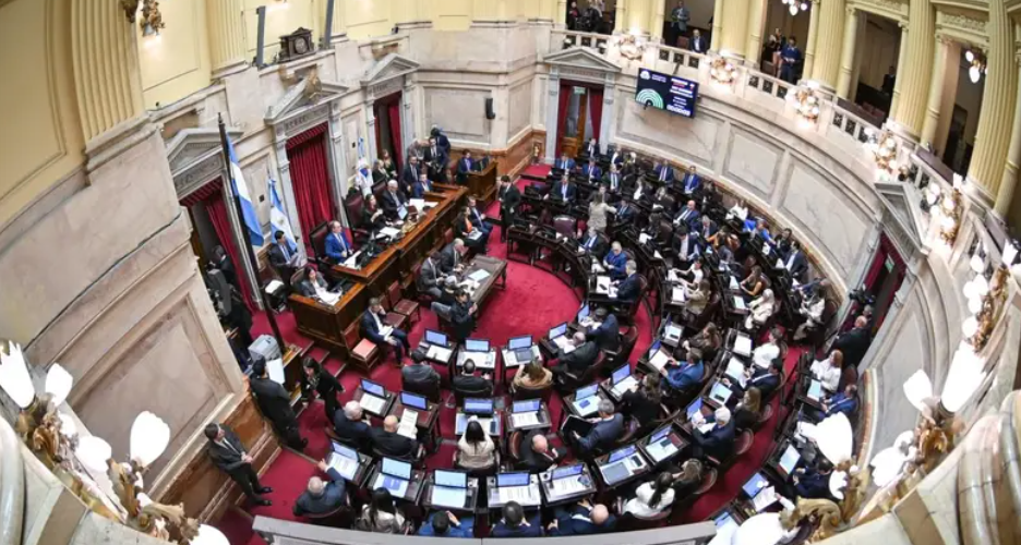 BLINDAR AL AGRESOR, CASTIGAR A QUIEN DENUNCIA: El Senado avanza con la ley de “falsas denuncias”
