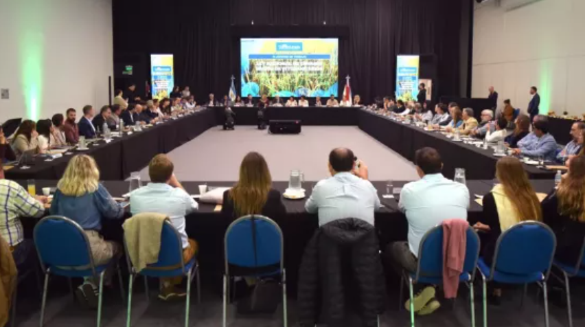 LEY DE ENVASES VACÍOS DE FITOSANITARIOS: Salta expuso su esquema ambiental en un encuentro federa