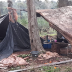 EL QUEBRACHAL: Rescataron a unas 30 personas en un operativo por presunta explotación laboral