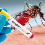 ALARTA SANITARIA POR DENGUE Y CHIKUNGUNYA: Intensifican operativos por aumento de casos sospechosos de dengue