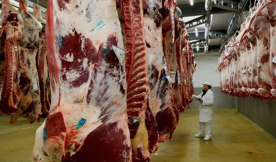 LA CRISIS GOLPEA EL ASADO: En Salta crece el consumo de carne molida y cortes baratos