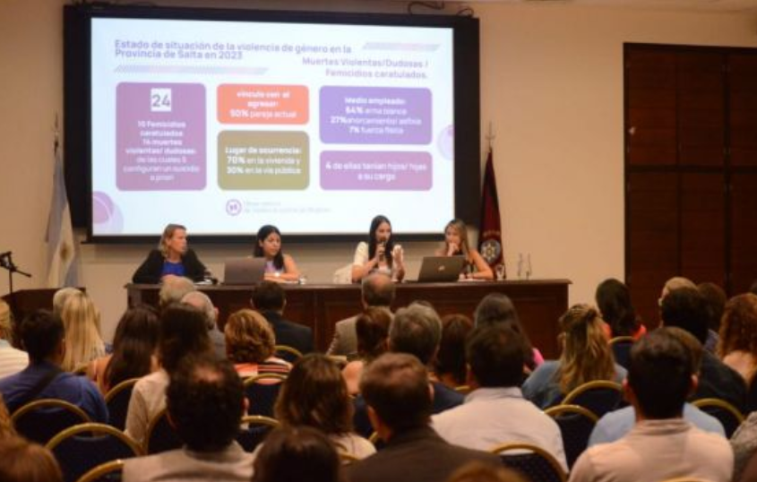 POLÉMICA EN SALTA: Diputados oficialistas quieren que organismos de género y derechos humanos trabajen gratis