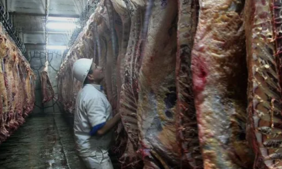 CRISIS EN SALTA: Ya no compran carne por kilo y piden “lo que alcance”