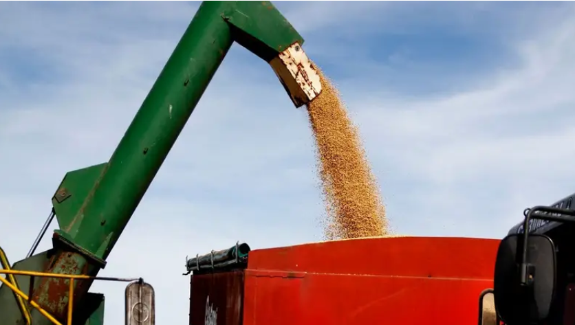 MILEI ANUNCIÓ BAJA DE RETENCIONES Y ESTALLÓ LA DESCONFIANZA EN EL CAMPO: cerealeras advierten riesgo de especulación con la soja