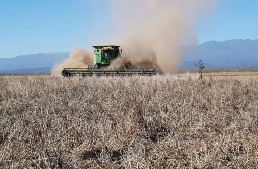 RETENCIONES: Qué impacto podría tener en Salta la baja anunciada