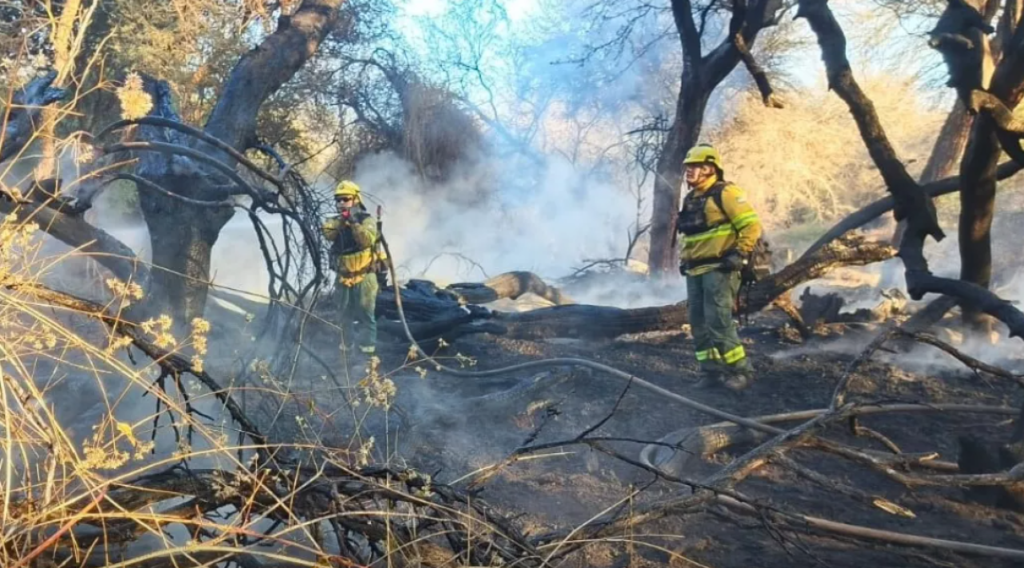 CAFAYATE: Presentan denuncia por incendios