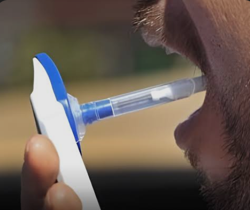 NARCOTEST EN SALTA: Cuatro positivos por THC reabren el debate sobre el cannabis medicinal