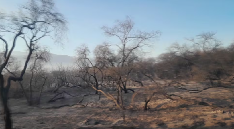 200 HECTÁREAS ARRASADAS EN CAFAYATE