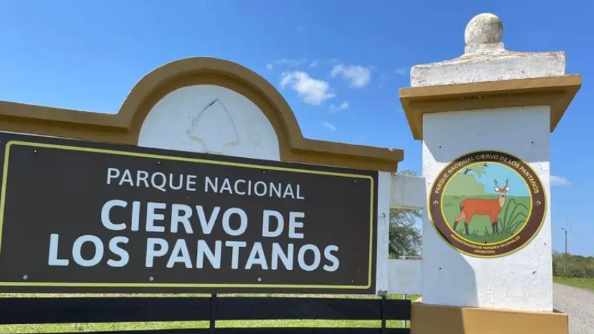 LA MOTOSIERRA LLEGA A LOS PARQUES NACIONALES: Milei impulsa retiros y abre una nueva ola de vaciamiento estatal
