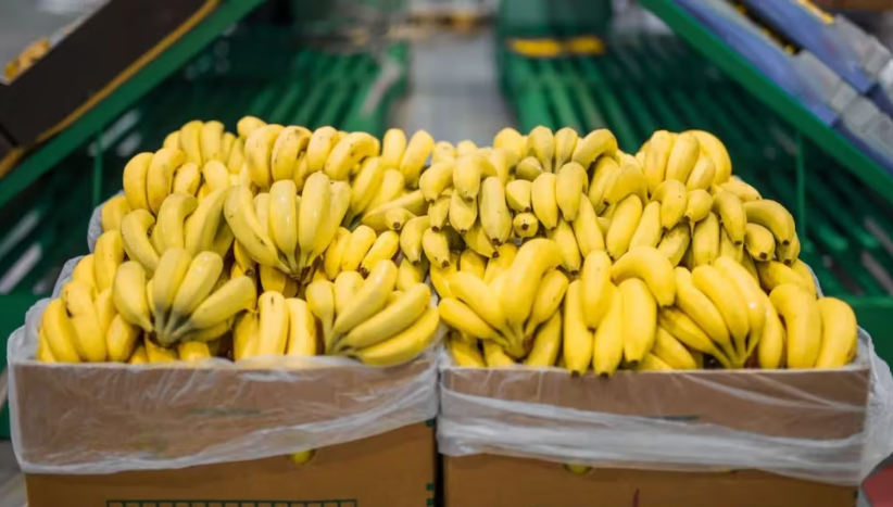 Alarma en Salta: Milei eliminó una barrera clave para la banana
