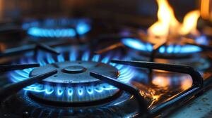 Milei aumentará el gas cada dos meses