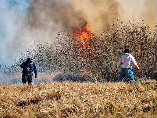 Finca Valdivia: Denuncian incendio intencional