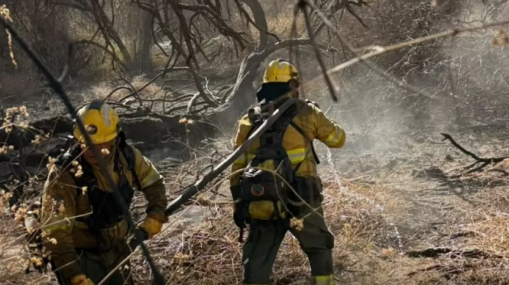 Incendios forestales en Salta: ya afectaron más de 8.700 hectáreas en 2026