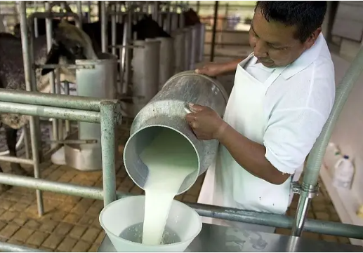 El campo produce más, pero los trabajadores compran cada vez menos