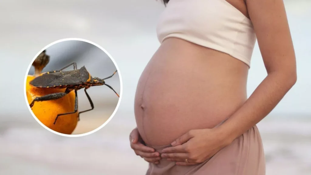 Chagas en Salta: crece la transmisión de madre a hijo