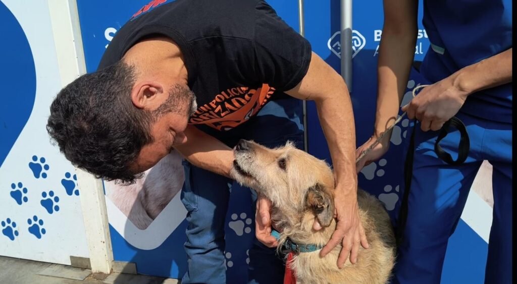 «Ley Lola»: Iniciativa contra maltrato animal
