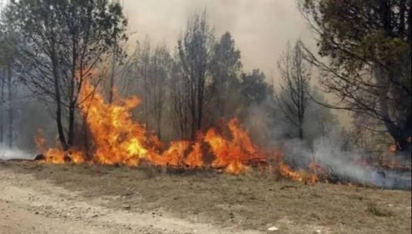 Incendios en Salta: piden extremar las precauciones