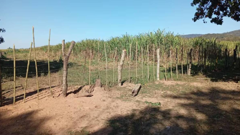 Conflicto en el norte salteño: una comunidad originaria denuncia la ocupación de tierras en la frontera