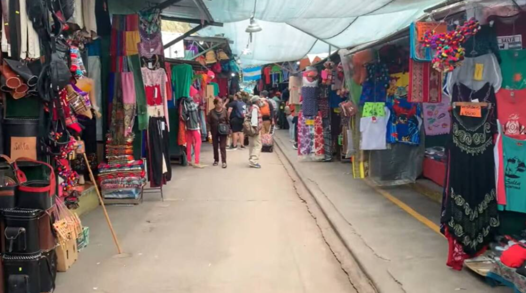Analizan reubicar la Feria del Parque San Martín