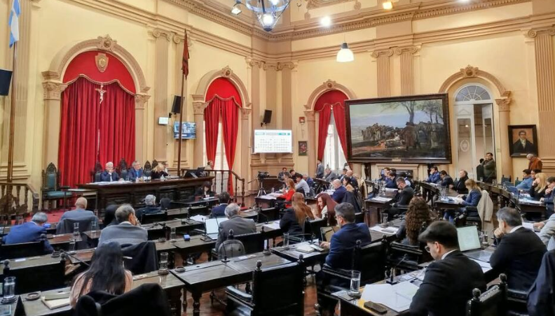 Discapacidad: fuerte cruce entre libertarios y oficialistas en Salta