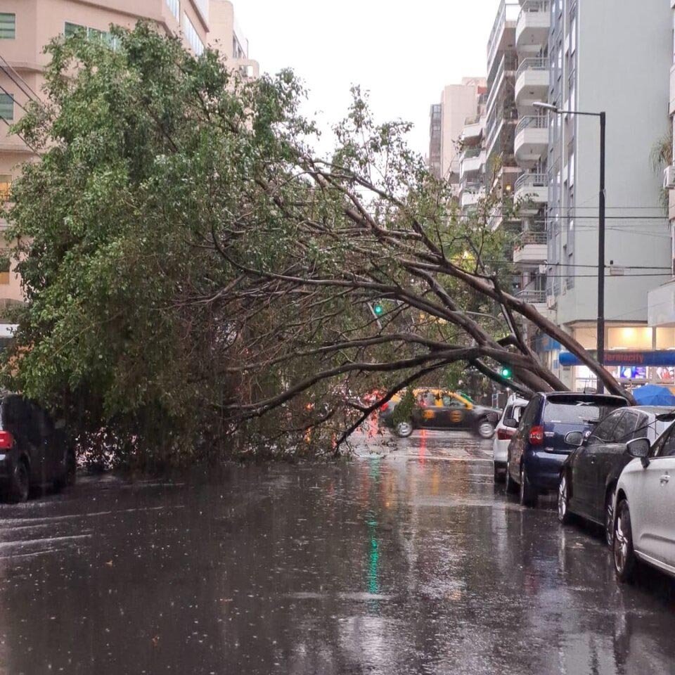«El Niño se está volviendo gigantesco ante nuestros ojos»: la fuerte alerta de una argentina que dirige la OMM