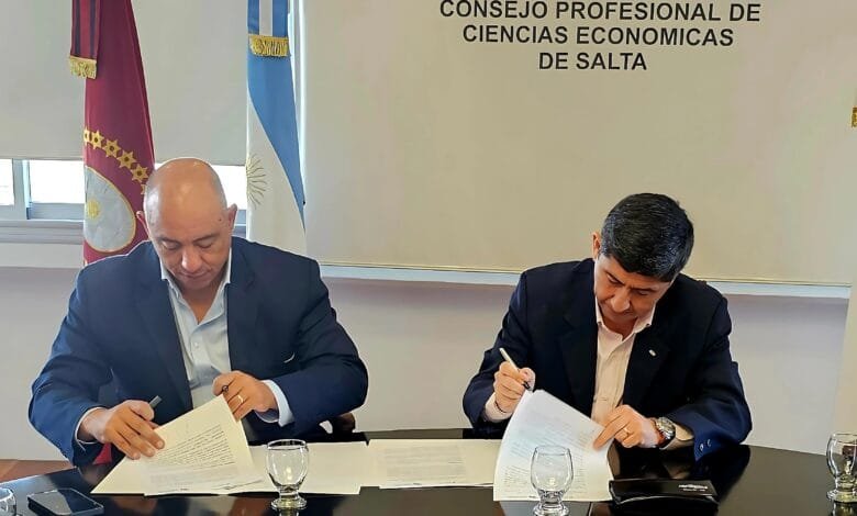 Hasta el 21 de septiembre: el CPCES abrió un cupo para ayudar a entidades con sus estados contables