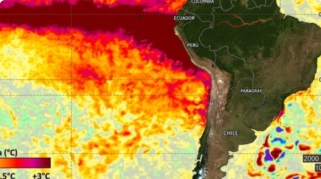 Súper Niño: advierten por lluvias intensas, granizo y períodos secos en Salta